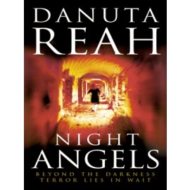 Night Angels by Danuta Reah