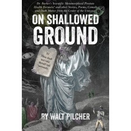 On Shallowed Ground by Walt Pilcher