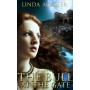 The Bull at the Gate by Linda Acaster